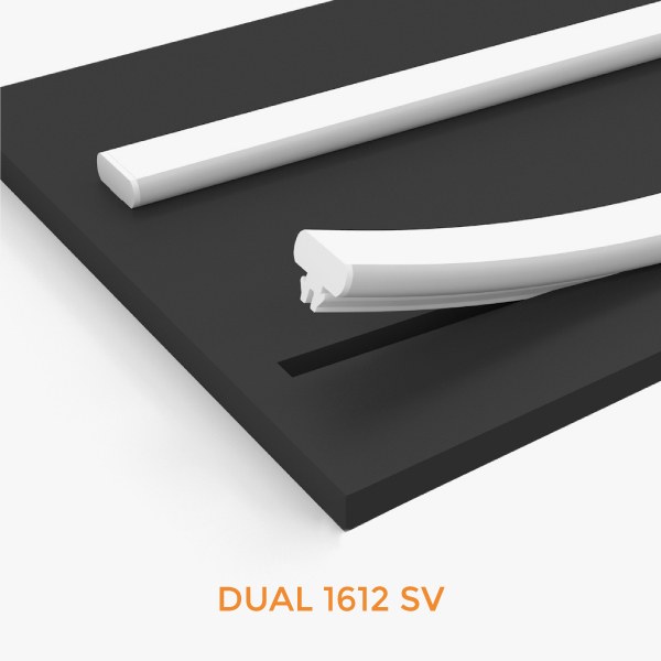 Dual Neon
